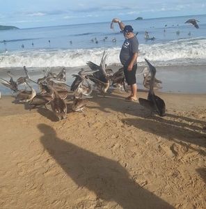 Meet your Posher, Jesus